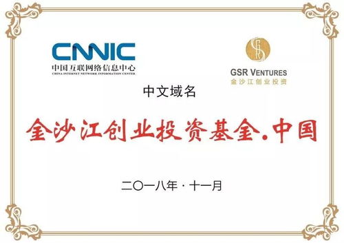 推動(dòng)中文域名注冊(cè)使用“烏鎮(zhèn)倡議” 互聯(lián)網(wǎng)語境下國家主權(quán)與技術(shù)自主的戰(zhàn)略考量