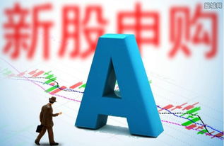 左江科技申購啟動 網(wǎng)絡信息技術新銳何時登陸資本市場